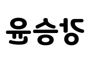 KPOP WINNER(위너、ウィナー) 강승윤 (カン・スンユン) 応援ボード・うちわ　韓国語/ハングル文字型紙 左右反転
