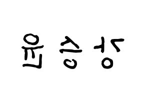 KPOP WINNER(위너、ウィナー) 강승윤 (カン・スンユン) k-pop アイドル名前 ファンサボード 型紙 左右反転