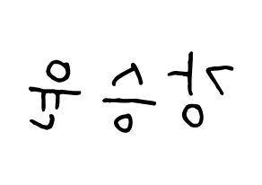 KPOP WINNER(위너、ウィナー) 강승윤 (カン・スンユン) k-pop 応援ボード メッセージ 型紙 左右反転
