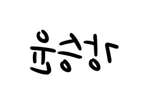 KPOP WINNER(위너、ウィナー) 강승윤 (カン・スンユン) 応援ボード ハングル 型紙  左右反転