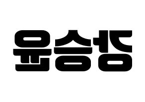 KPOP WINNER(위너、ウィナー) 강승윤 (カン・スンユン) コンサート用　応援ボード・うちわ　韓国語/ハングル文字型紙 左右反転
