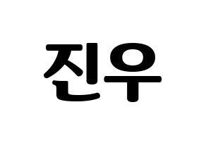 KPOP WINNER(위너、ウィナー) 김진우 (キム・ジヌ) コンサート用　応援ボード・うちわ　韓国語/ハングル文字型紙 通常