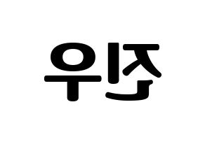 KPOP WINNER(위너、ウィナー) 김진우 (キム・ジヌ) コンサート用　応援ボード・うちわ　韓国語/ハングル文字型紙 左右反転