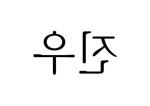 KPOP WINNER(위너、ウィナー) 김진우 (キム・ジヌ) 応援ボード・うちわ　韓国語/ハングル文字型紙 左右反転