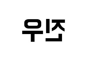 KPOP WINNER(위너、ウィナー) 김진우 (キム・ジヌ) k-pop アイドル名前 ファンサボード 型紙 左右反転