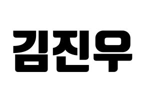 KPOP WINNER(위너、ウィナー) 김진우 (キム・ジヌ) コンサート用　応援ボード・うちわ　韓国語/ハングル文字型紙 通常