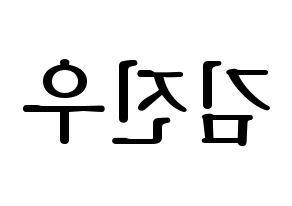KPOP WINNER(위너、ウィナー) 김진우 (キム・ジヌ) プリント用応援ボード型紙、うちわ型紙　韓国語/ハングル文字型紙 左右反転