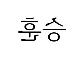 KPOP WINNER(위너、ウィナー) 이승훈 (イ・スンフン) 応援ボード・うちわ　韓国語/ハングル文字型紙 左右反転