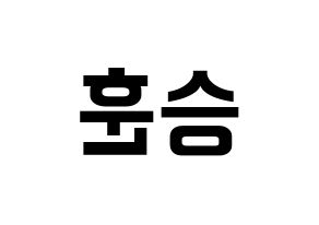 KPOP WINNER(위너、ウィナー) 이승훈 (イ・スンフン) k-pop アイドル名前 ファンサボード 型紙 左右反転