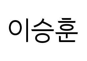 KPOP WINNER(위너、ウィナー) 이승훈 (イ・スンフン) コンサート用　応援ボード・うちわ　韓国語/ハングル文字型紙 通常