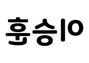 KPOP WINNER(위너、ウィナー) 이승훈 (イ・スンフン) 応援ボード・うちわ　韓国語/ハングル文字型紙 左右反転