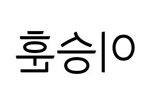 KPOP WINNER(위너、ウィナー) 이승훈 (イ・スンフン) コンサート用　応援ボード・うちわ　韓国語/ハングル文字型紙 左右反転