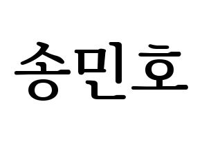 KPOP WINNER(위너、ウィナー) 송민호 (ソン・ミンホ) プリント用応援ボード型紙、うちわ型紙　韓国語/ハングル文字型紙 通常