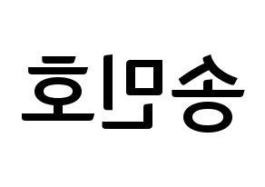 KPOP WINNER(위너、ウィナー) 송민호 (ソン・ミンホ) k-pop アイドル名前 ファンサボード 型紙 左右反転