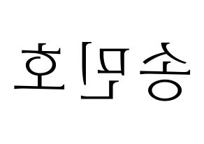 KPOP WINNER(위너、ウィナー) 송민호 (ソン・ミンホ) 応援ボード・うちわ　韓国語/ハングル文字型紙 左右反転