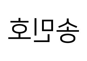 KPOP WINNER(위너、ウィナー) 송민호 (ソン・ミンホ) プリント用応援ボード型紙、うちわ型紙　韓国語/ハングル文字型紙 左右反転