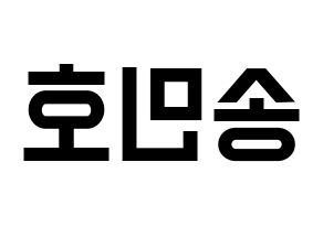 KPOP WINNER(위너、ウィナー) 송민호 (ソン・ミンホ) 名前 応援ボード 作り方 左右反転