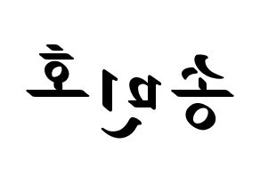 KPOP WINNER(위너、ウィナー) 송민호 (ソン・ミンホ) 応援ボード ハングル 型紙  左右反転