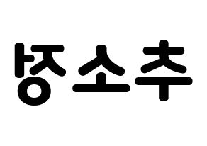 KPOP WJSN(우주소녀、宇宙少女) 엑시 (EXY) 応援ボード・うちわ　韓国語/ハングル文字型紙 左右反転