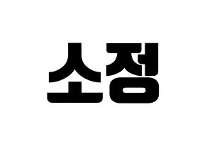 KPOP WJSN(우주소녀、宇宙少女) 엑시 (EXY) コンサート用　応援ボード・うちわ　韓国語/ハングル文字型紙 通常