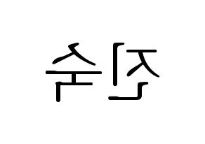 KPOP WJSN(우주소녀、宇宙少女) 여름 (ヨルム) 応援ボード・うちわ　韓国語/ハングル文字型紙 左右反転