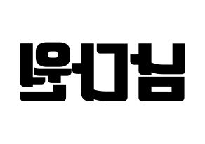 KPOP WJSN(우주소녀、宇宙少女) 다원 (ダウォン) コンサート用　応援ボード・うちわ　韓国語/ハングル文字型紙 左右反転