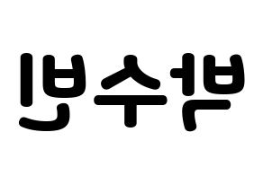 KPOP WJSN(우주소녀、宇宙少女) 수빈 (スビン) 応援ボード・うちわ　韓国語/ハングル文字型紙 左右反転