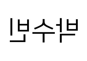 KPOP WJSN(우주소녀、宇宙少女) 수빈 (スビン) プリント用応援ボード型紙、うちわ型紙　韓国語/ハングル文字型紙 左右反転