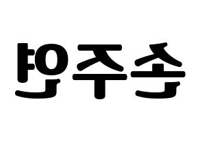 KPOP WJSN(우주소녀、宇宙少女) 은서 (ウンソ) コンサート用　応援ボード・うちわ　韓国語/ハングル文字型紙 左右反転