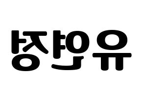 KPOP WJSN(우주소녀、宇宙少女) 연정 (ヨンジョン) コンサート用　応援ボード・うちわ　韓国語/ハングル文字型紙 左右反転