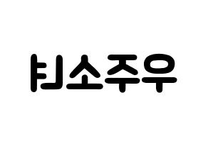 KPOP歌手 WJSN(우주소녀、宇宙少女) 応援ボード型紙、うちわ型紙　韓国語/ハングル文字 左右反転