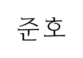 KPOP X1(엑스원、エックスワン) 차준호 (チャ・ジュノ) 応援ボード・うちわ　韓国語/ハングル文字型紙 通常