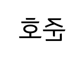 KPOP X1(엑스원、エックスワン) 차준호 (チャ・ジュノ) コンサート用　応援ボード・うちわ　韓国語/ハングル文字型紙 左右反転