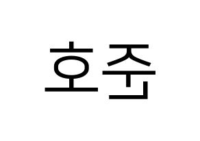 KPOP X1(엑스원、エックスワン) 차준호 (チャ・ジュノ) プリント用応援ボード型紙、うちわ型紙　韓国語/ハングル文字型紙 左右反転