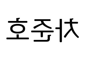 KPOP X1(엑스원、エックスワン) 차준호 (チャ・ジュノ) プリント用応援ボード型紙、うちわ型紙　韓国語/ハングル文字型紙 左右反転