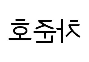 KPOP X1(엑스원、エックスワン) 차준호 (チャ・ジュノ) コンサート用　応援ボード・うちわ　韓国語/ハングル文字型紙 左右反転
