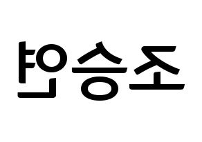 KPOP X1(엑스원、エックスワン) 조승연 (チョ・スンヨン) k-pop アイドル名前 ファンサボード 型紙 左右反転