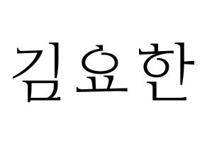 KPOP X1(엑스원、エックスワン) 김요한 (キム・ヨハン) 応援ボード・うちわ　韓国語/ハングル文字型紙 通常
