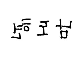 KPOP X1(엑스원、エックスワン) 남도현 (ナム・ドヒョン) k-pop アイドル名前 ファンサボード 型紙 左右反転