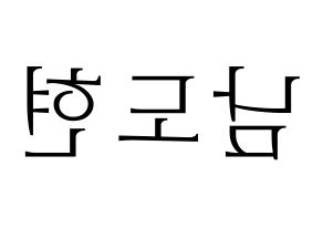 KPOP X1(엑스원、エックスワン) 남도현 (ナム・ドヒョン) 応援ボード・うちわ　韓国語/ハングル文字型紙 左右反転