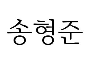 KPOP X1(엑스원、エックスワン) 송형준 (ソン・ヒョンジュン) 応援ボード・うちわ　韓国語/ハングル文字型紙 通常