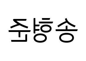KPOP X1(엑스원、エックスワン) 송형준 (ソン・ヒョンジュン) コンサート用　応援ボード・うちわ　韓国語/ハングル文字型紙 左右反転